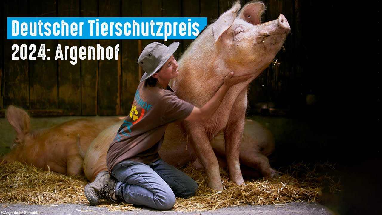 Deutscher Tierschutzpreis 2024 - Refugium für 180 Tiere: Der Argenhof