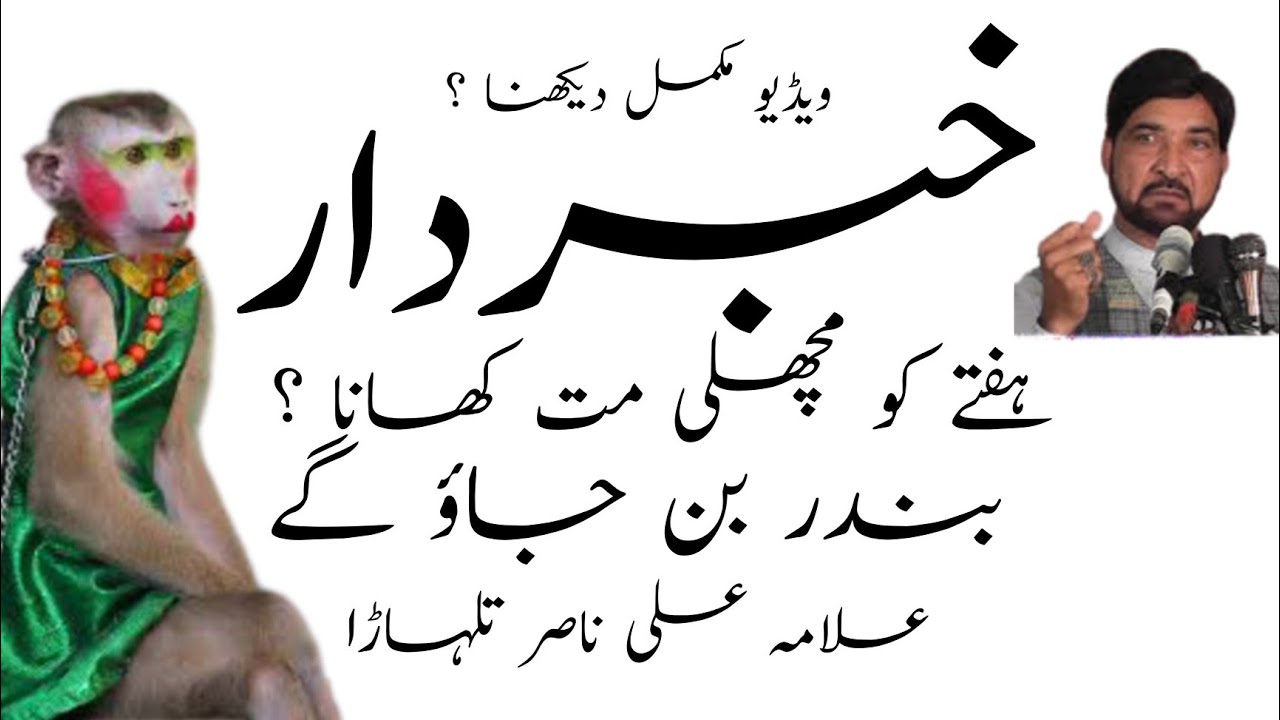 ALLAMA ALI NASIR TALHARA || Majlis || خبردار ہفتے کو مچھلی کھانا || subscribe my channel ||