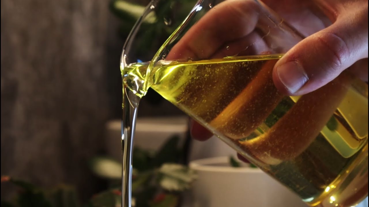 CHAPTER 4 Oil Video Catholic