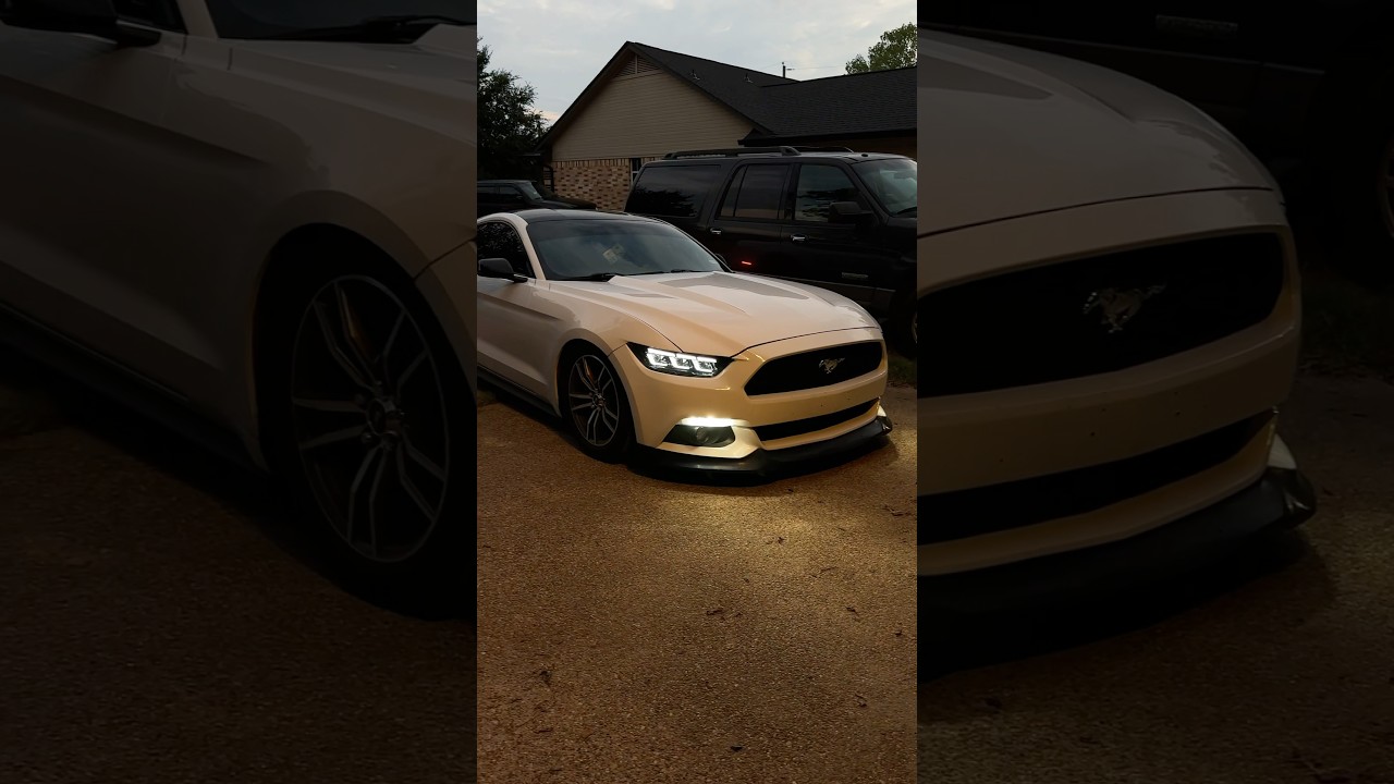 Плюсы и минусы вождения заниженного Mustang S550 🛞