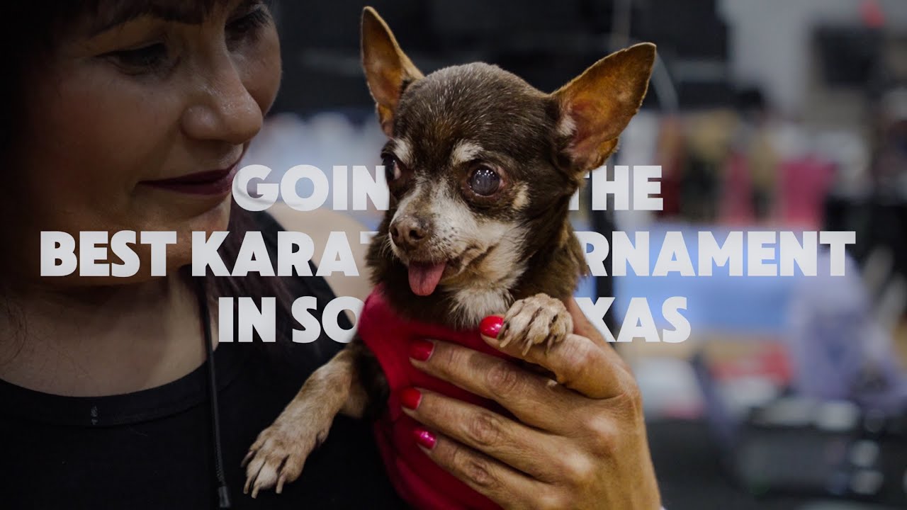 THE BEST KARATE TOURNAMENT IN SOUTH TEXAS
