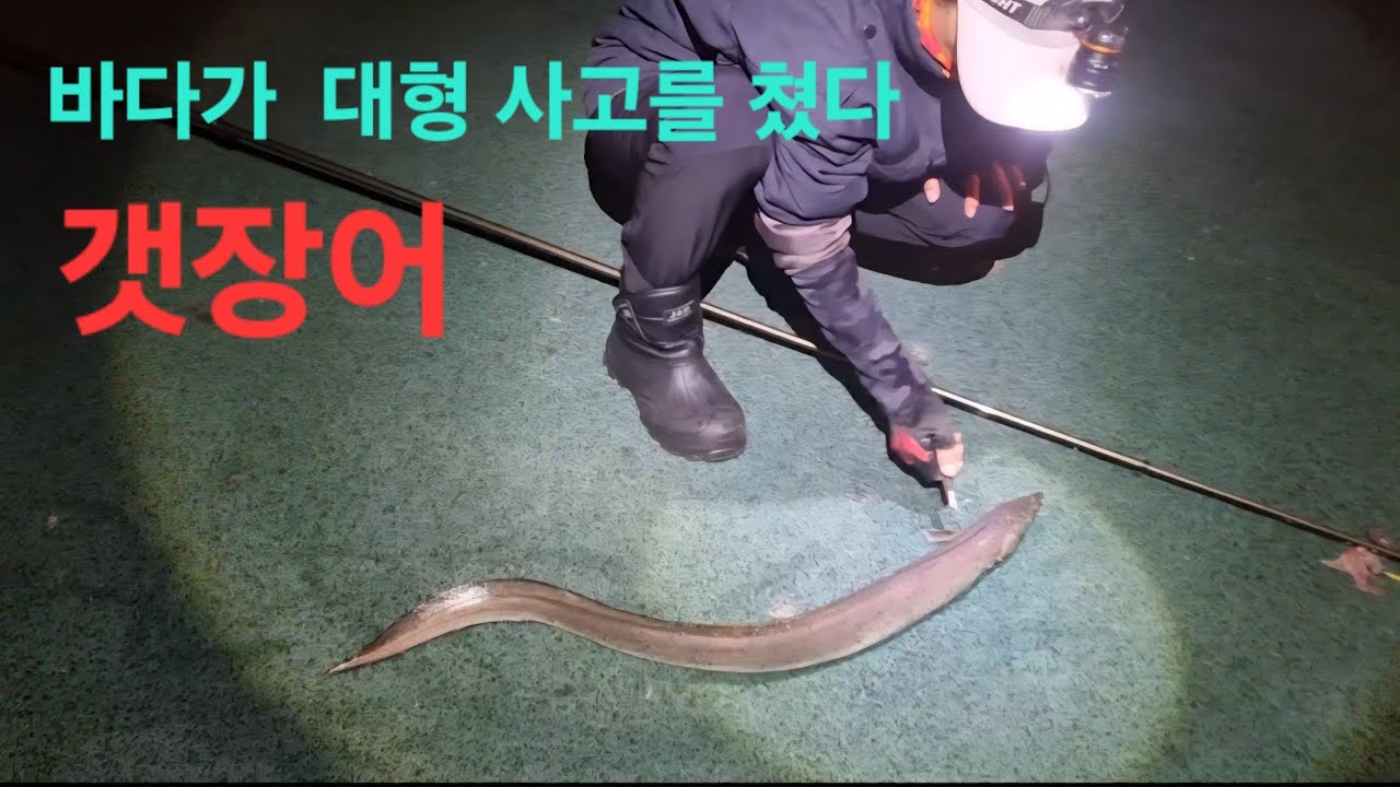 #제주바다 #제주낚시 #동부두 #갯장어 #다금바리