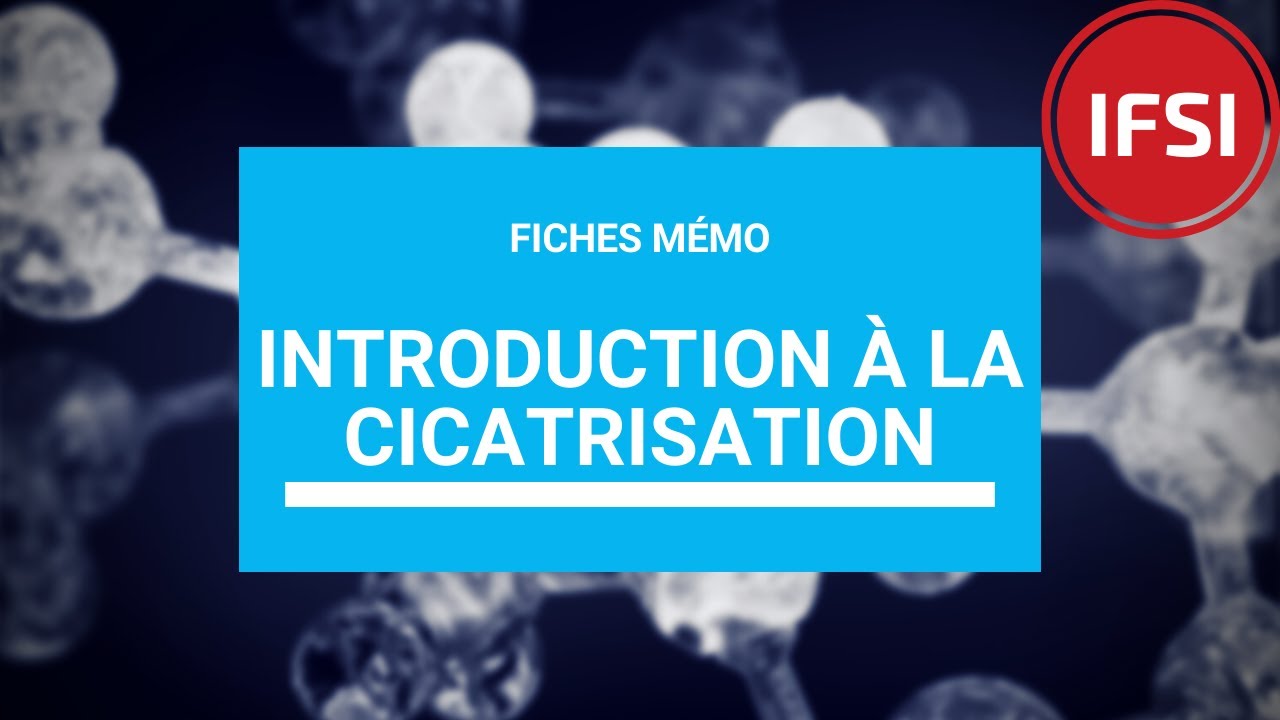 Introduction à la cicatrisation
