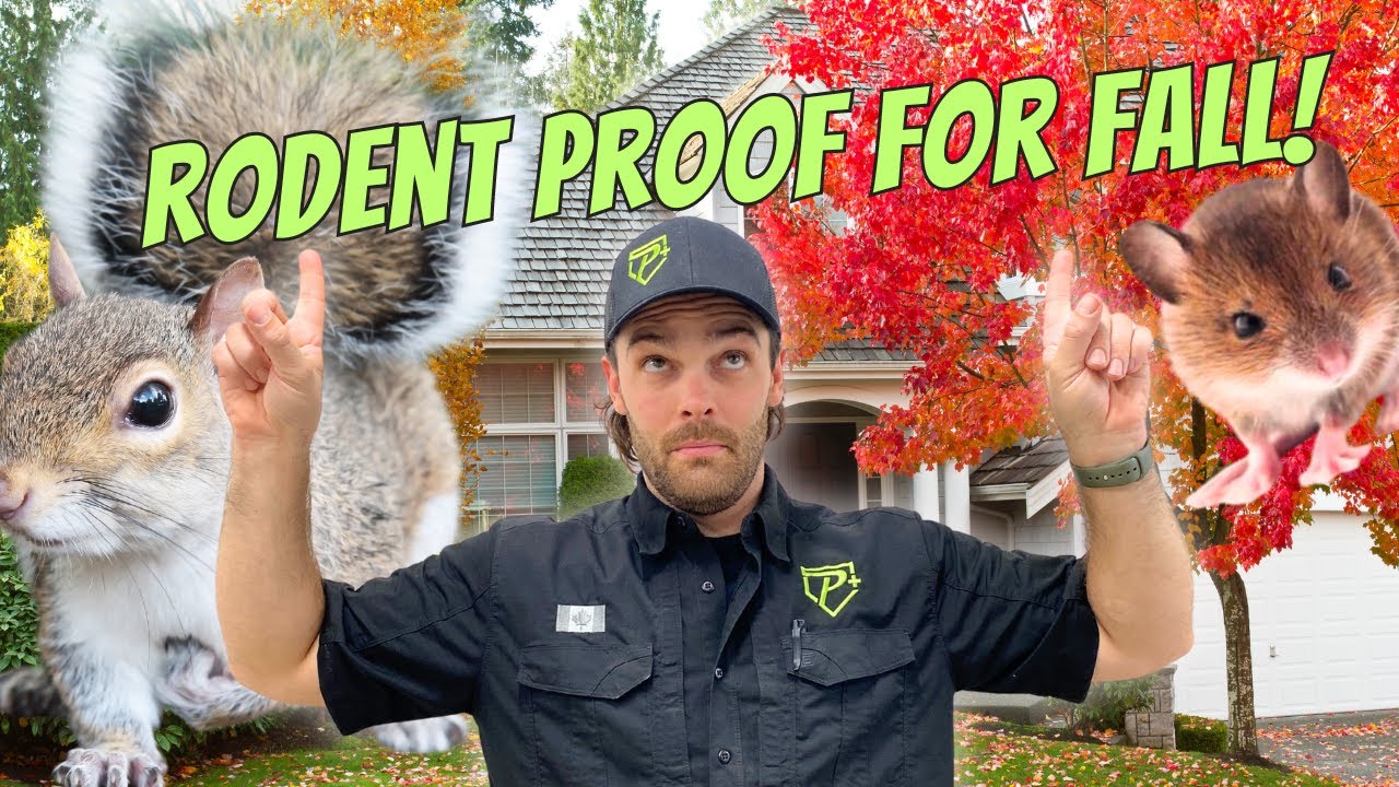 Rodent Proof For Fall!