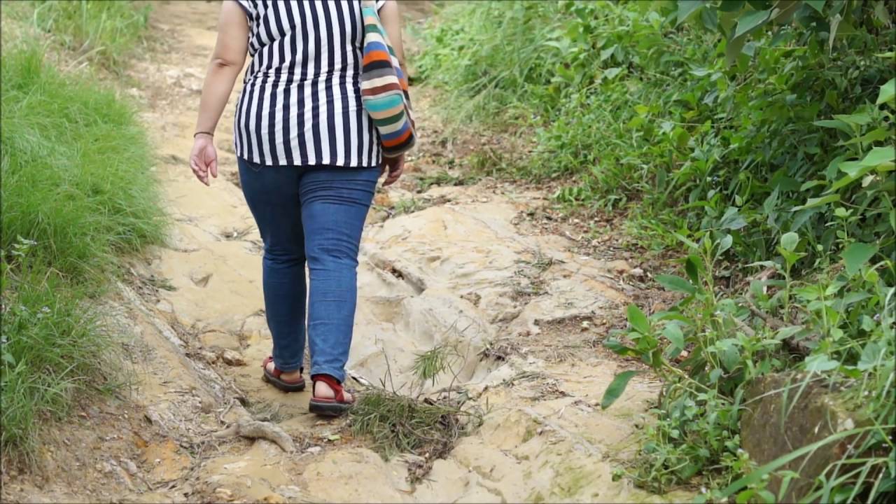 陽光.游子. 山林篇
