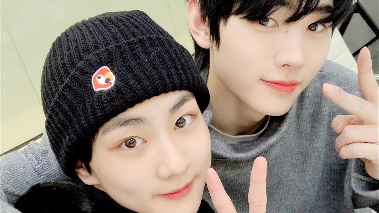 Enhypen Jungwon and Sunghoon moments. Sungwon moments. Jungsung moments. (Part2)