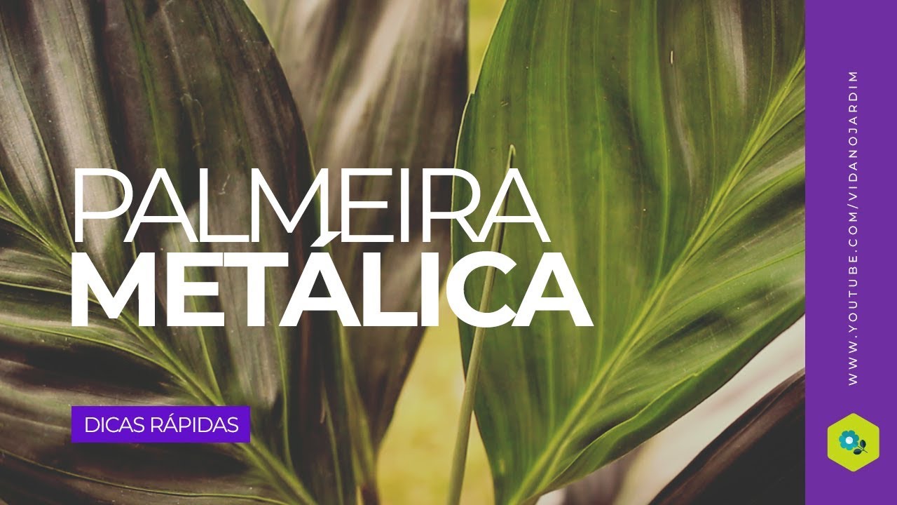 Palmeira Metálica