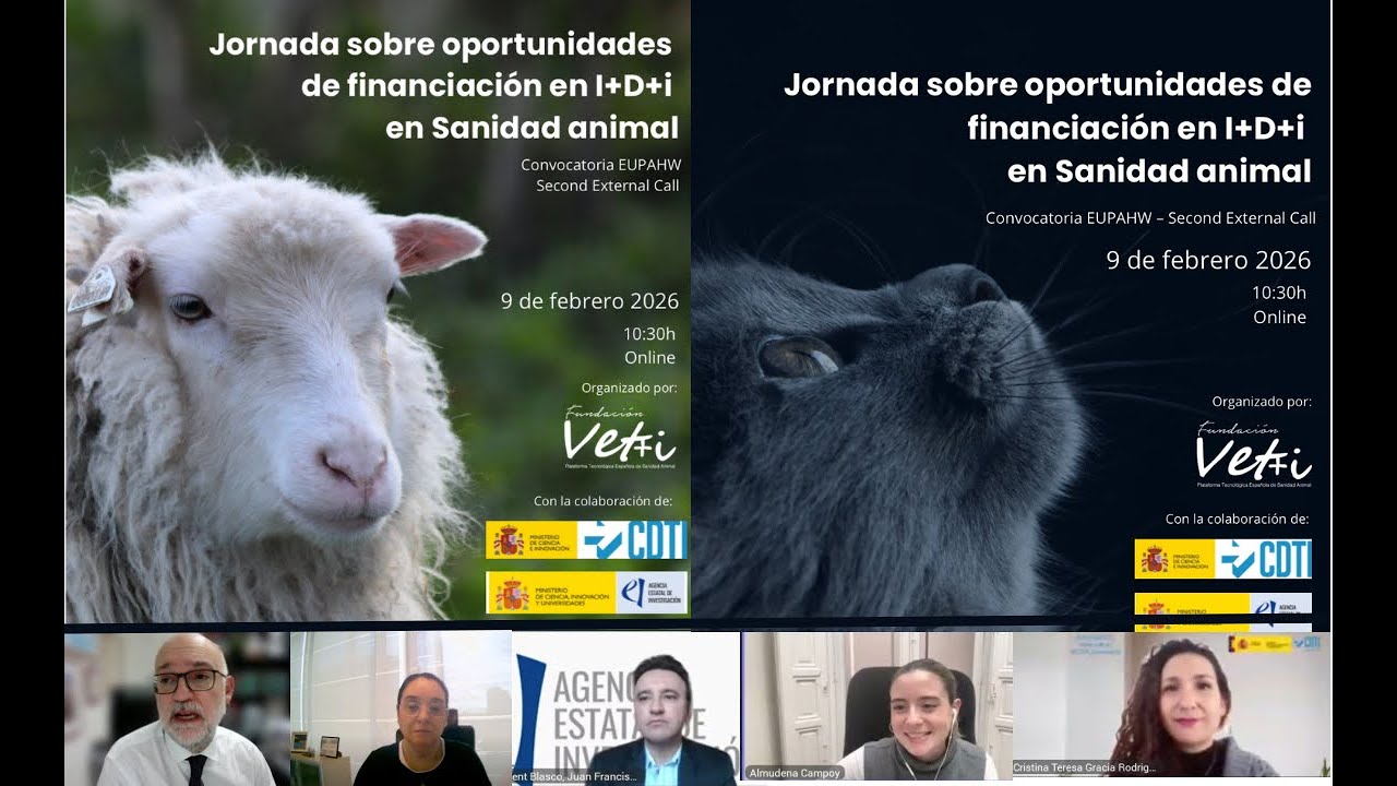 Webinar 