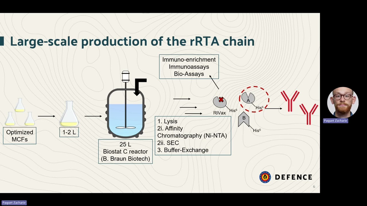 RICIn Detection, Identification and Verification of the Biological Activity (RICIDIV)