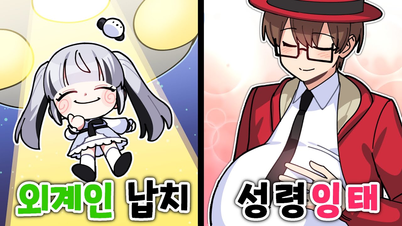 아니 이런 보험이 있다고?🤔