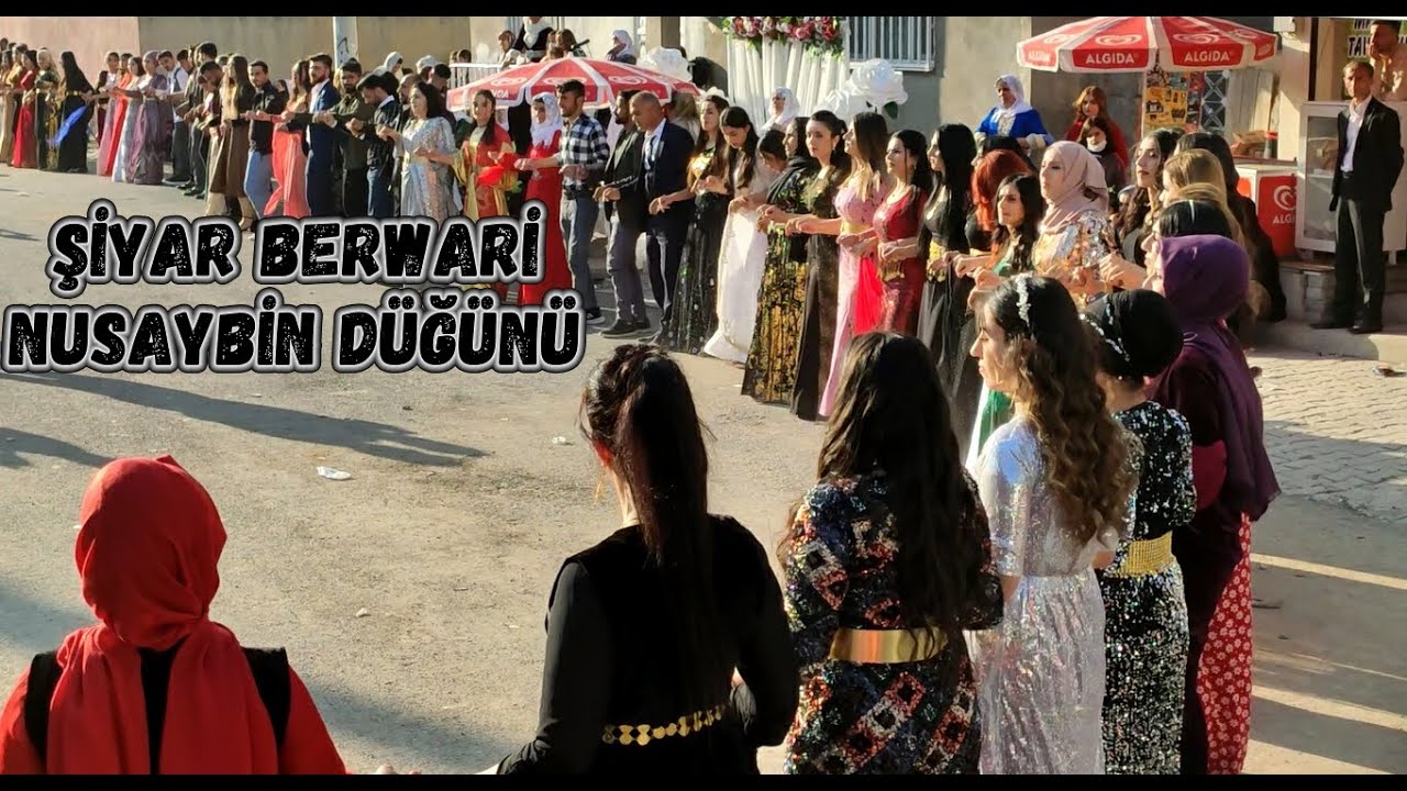 Şiyar Berwari - Nusaybin Jirki Aşireti Düğünü  [ 2021 ©  ]  شيار برواري