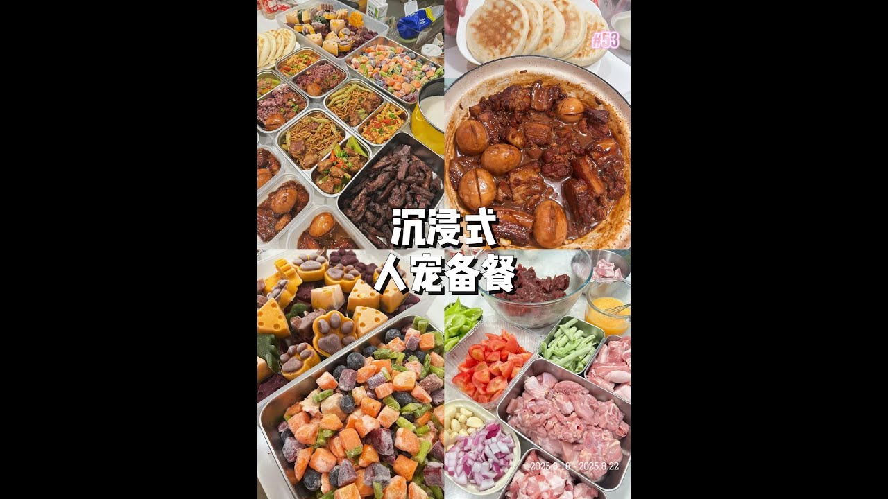 备餐周记53|历时十小时特种兵超长人宠备餐~ 经历了三周的加班，一直没有休息，更没有时间拍视频了，这周一次性补上，超长版大型人宠备餐双手奉上🙌🏻~#好好吃饭大赛 #一周备餐 #自制预制菜 #小