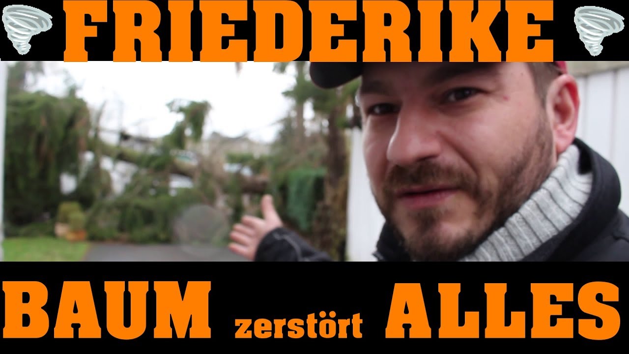 Friederike schl&auml;gt zu - 20m BAUM ZERST&Ouml;RT GARAGE VON MR DOIT!!! 🌪🌪🌪