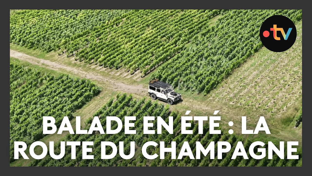 La route touristique du champagne, une balade à la découverte du vin effervescent