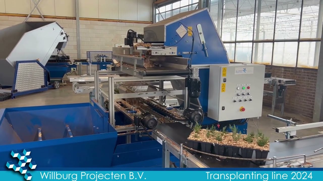 Willburg Projecten B.V. - Transplanting line 2024