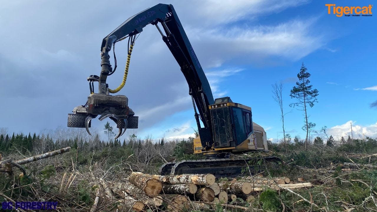 I'm Following The Buncher in the Tigercat 855C with LogMax 7000