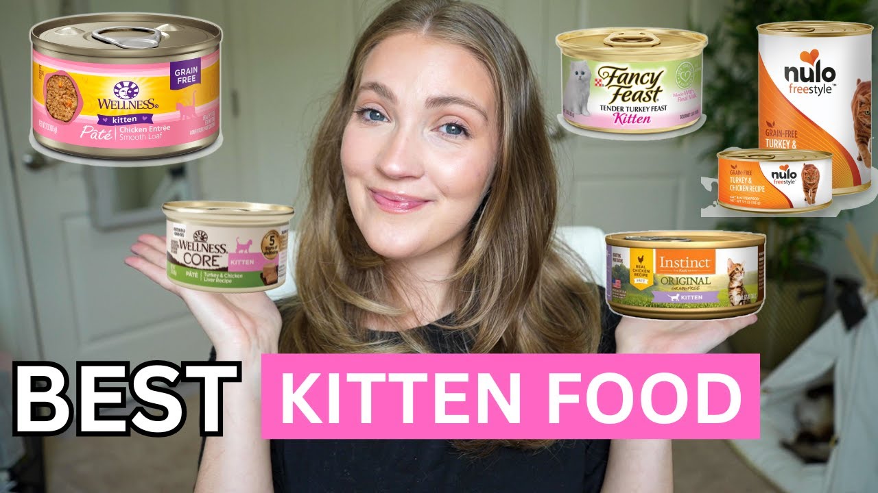 Top 5 Best Kitten Foods of 2025