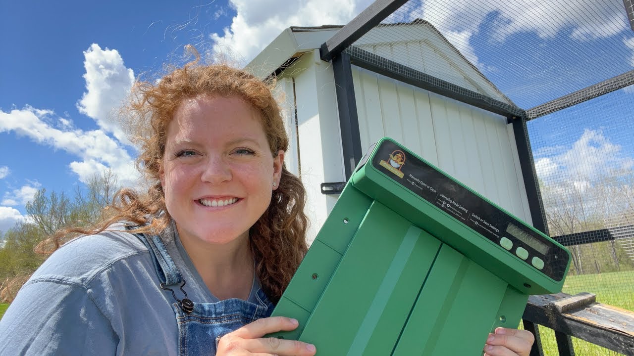Will This Automatic Chicken Coop Door Be Better? Chickcozy Review