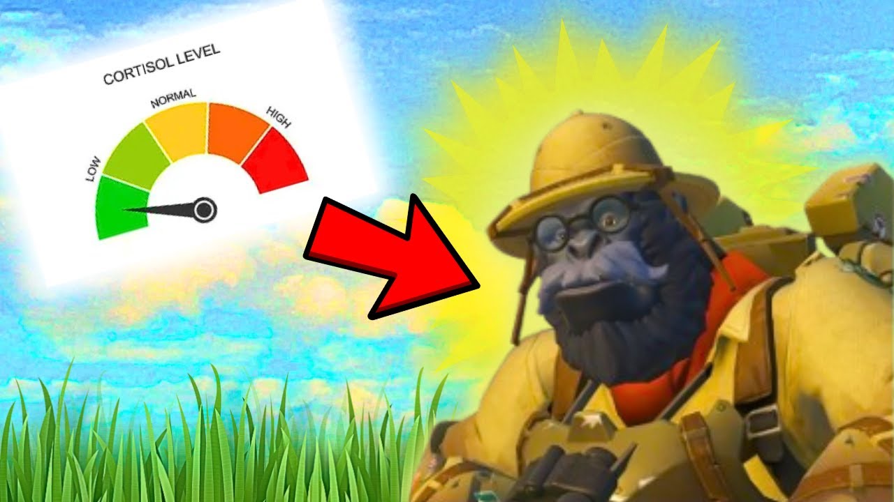 Solo Overwatch Tank Placements