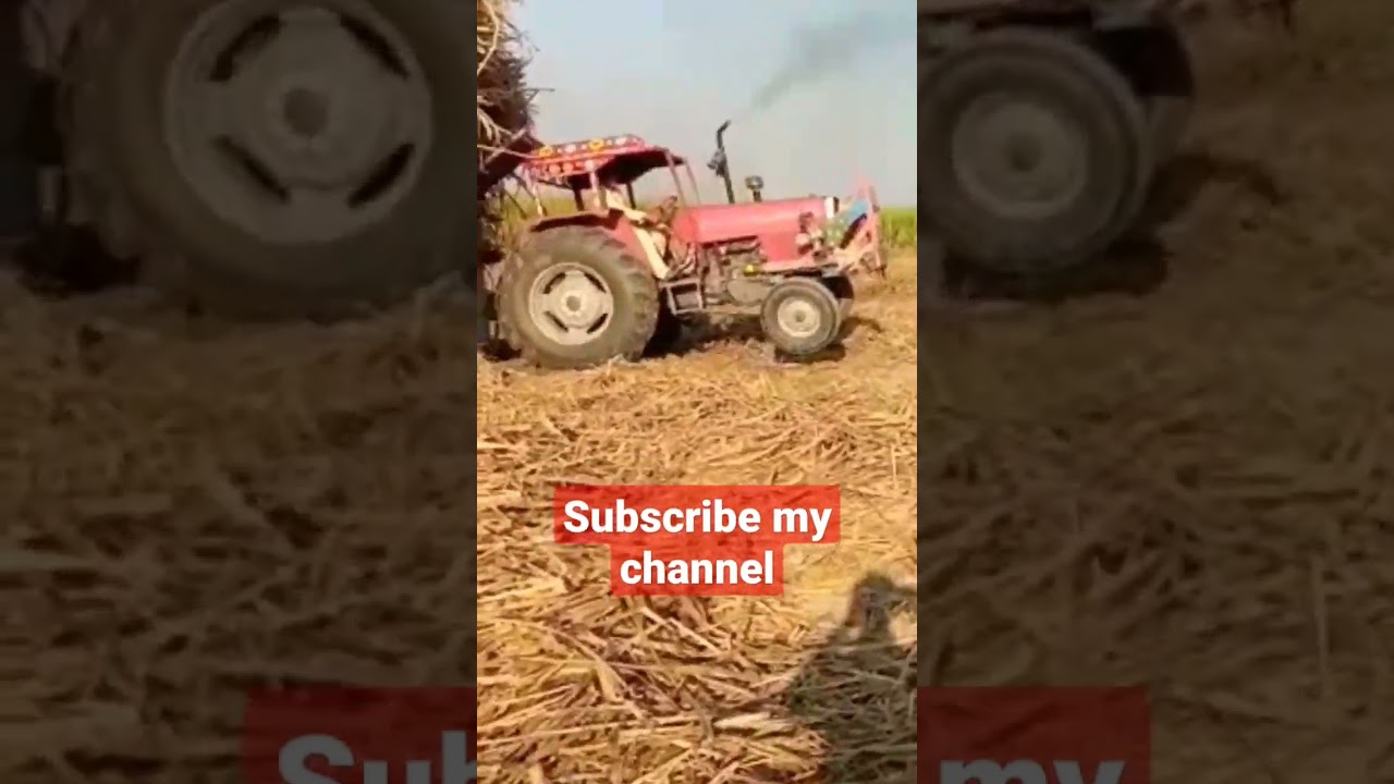 #mf#385 #tractor with trolley load power#shorts #new #tube #saraikivlog