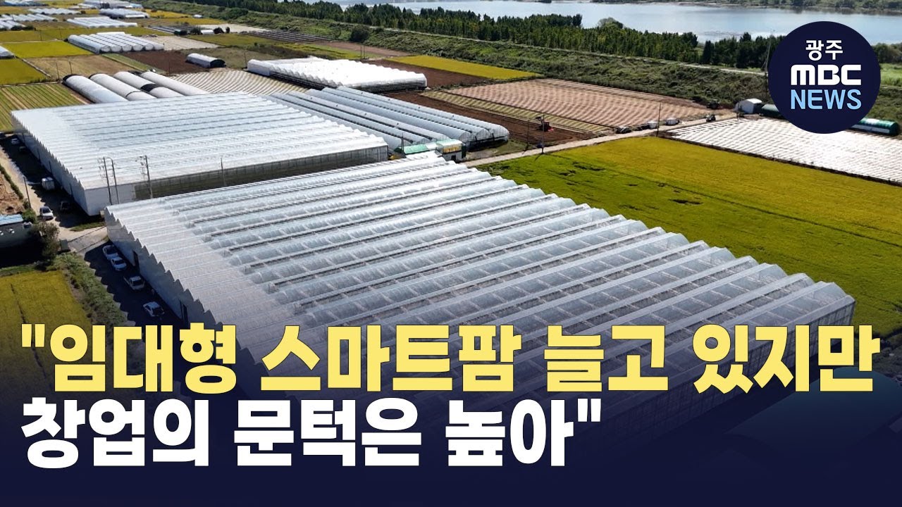 [대구]
