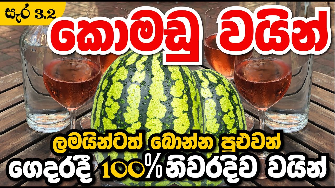 Water melon Wine l ගෙදර ඉදන් පහසුවෙන්  කොමඩු වයින් හදමු