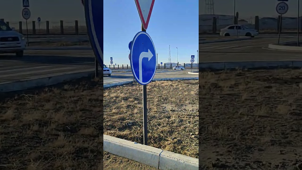 14 января 2025 г.