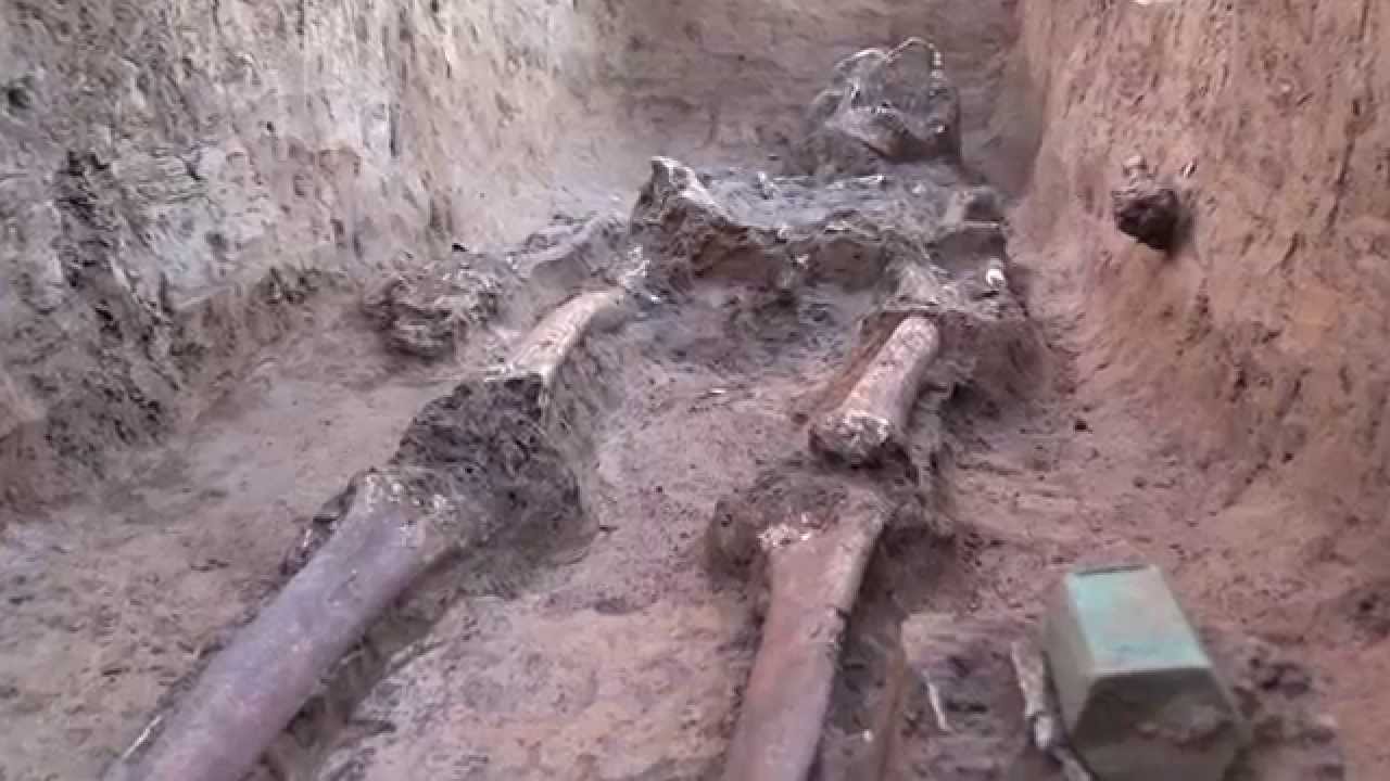 В поисках капитана Габриэля Арчера