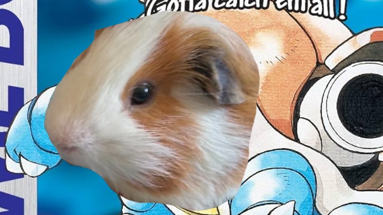 Pokemon Blue LIVE
