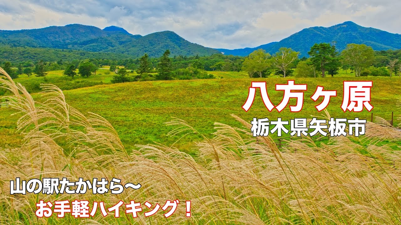 【高原山】4K 山の駅たかはら〜八方ヶ原 牧場を見ながらお手軽ハイキング！栃木県矢板市