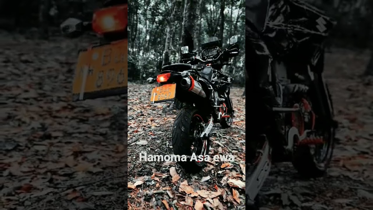 DRZ karu kambi 