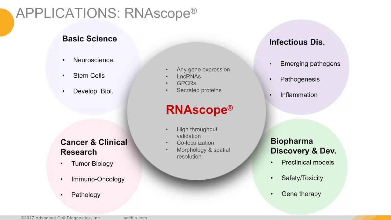 Webinar – Application of combined RNA in situ hybridization and multiplex IHC