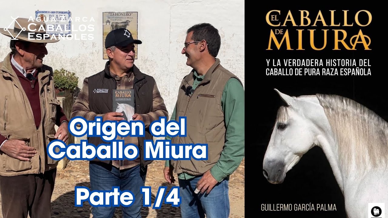 Orígenes y Cultura de Crianza del Caballo Español de Miura | Parte ¼, Orígenes del Pura Raza Español