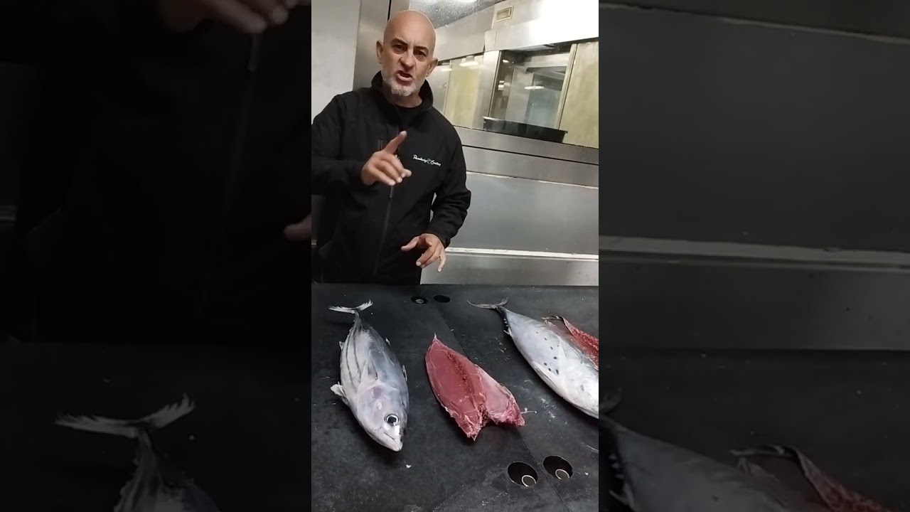 Bacoreta y bonito listado.