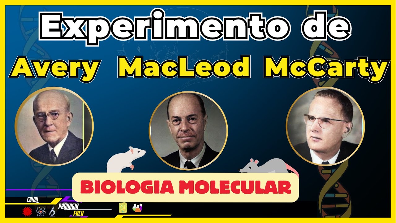 Experimento de Oswald Avery, Colin MacLeod e McCarty [Biologia Molecular] - 2024