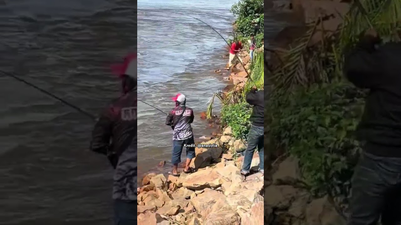 Pesta ikan patin tumpat , rezeki ketika banjir #tumpat #kelantan