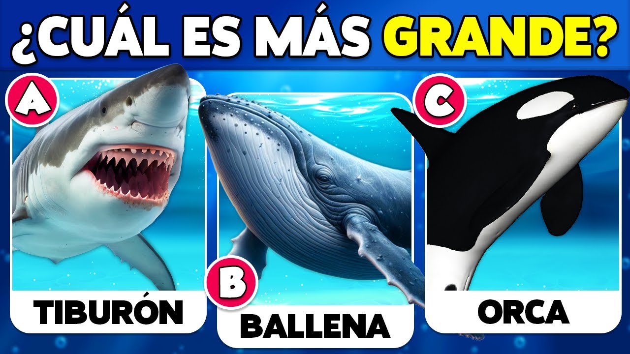 🧠 ¿Cuánto Sabes de los ANIMALES MARINOS? 🐳🐬🐠 35 Preguntas de CULTURA GENERAL