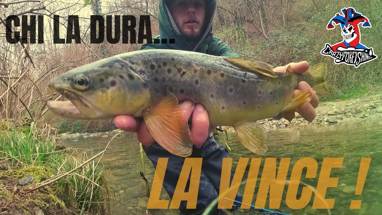 Chi la dura la vince! | Le Trote più furbe le pesca solo chi non molla! | Apertura Trota |