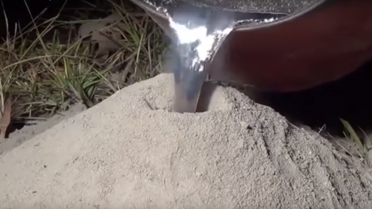 Killing Fire Ant Colony with Molten Aluminum & Casting a Mold at the same Time #ALUMINUMANTS #ANTS