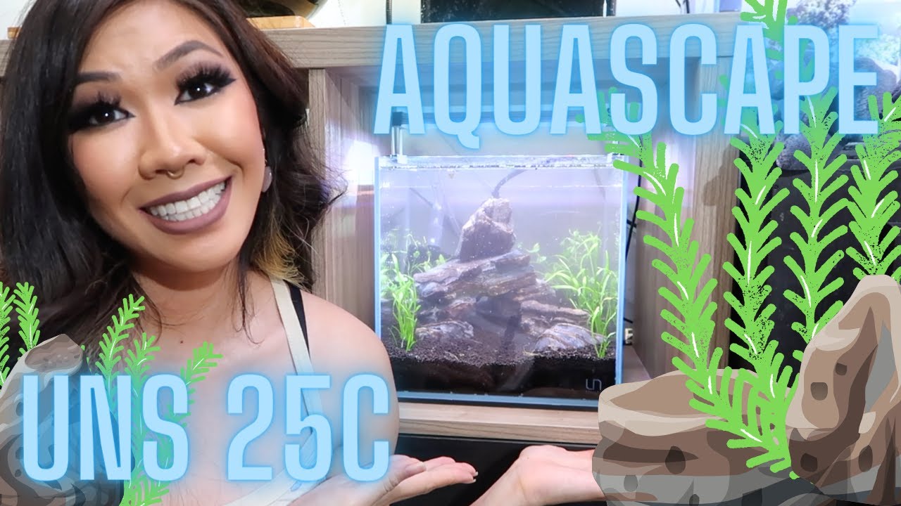 UNS 25C Betta Aquascape