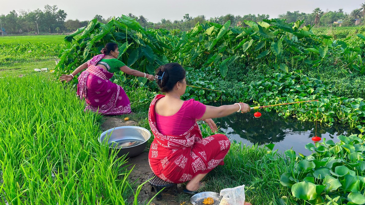 Unique hook Fishing🎣🎣|| Two Beautiful lady fishing in the paddy field Canal with hook catch fish