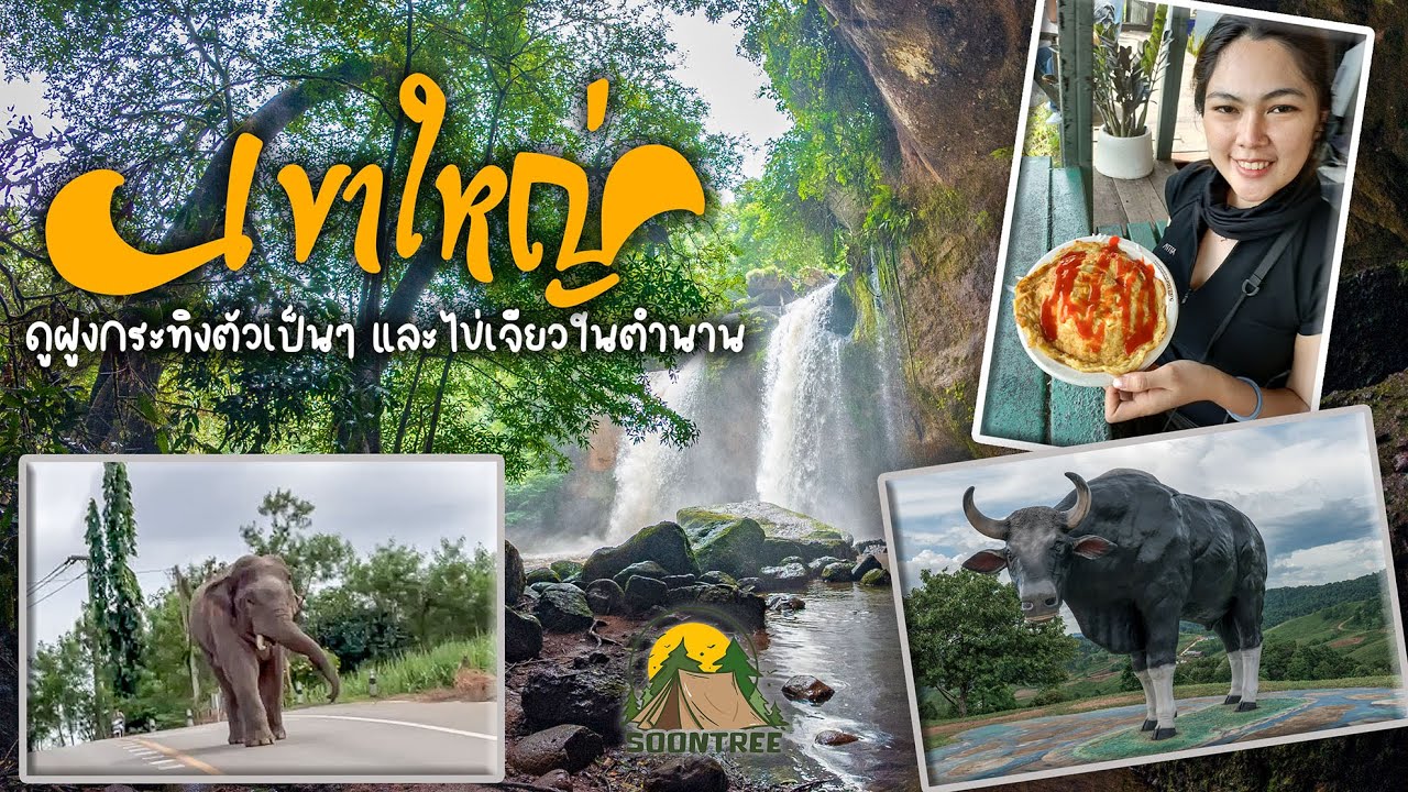 123 Day Trip EP8 | ภารกิจพิชิตเขาใหญ่! ตามรอยกระทิงยักษ์! ก่อนแวะกินไข่เจียวสุดฟินที่เขาใหญ่ | โคราช
