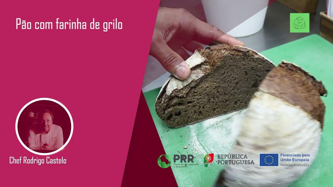 Pão com farinha de grilo