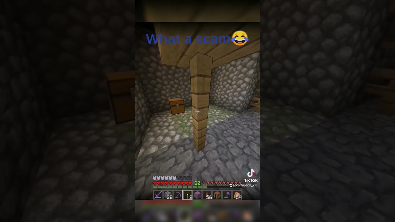 I was exploring an abandoned mineshaft when I found this... #minecraft
