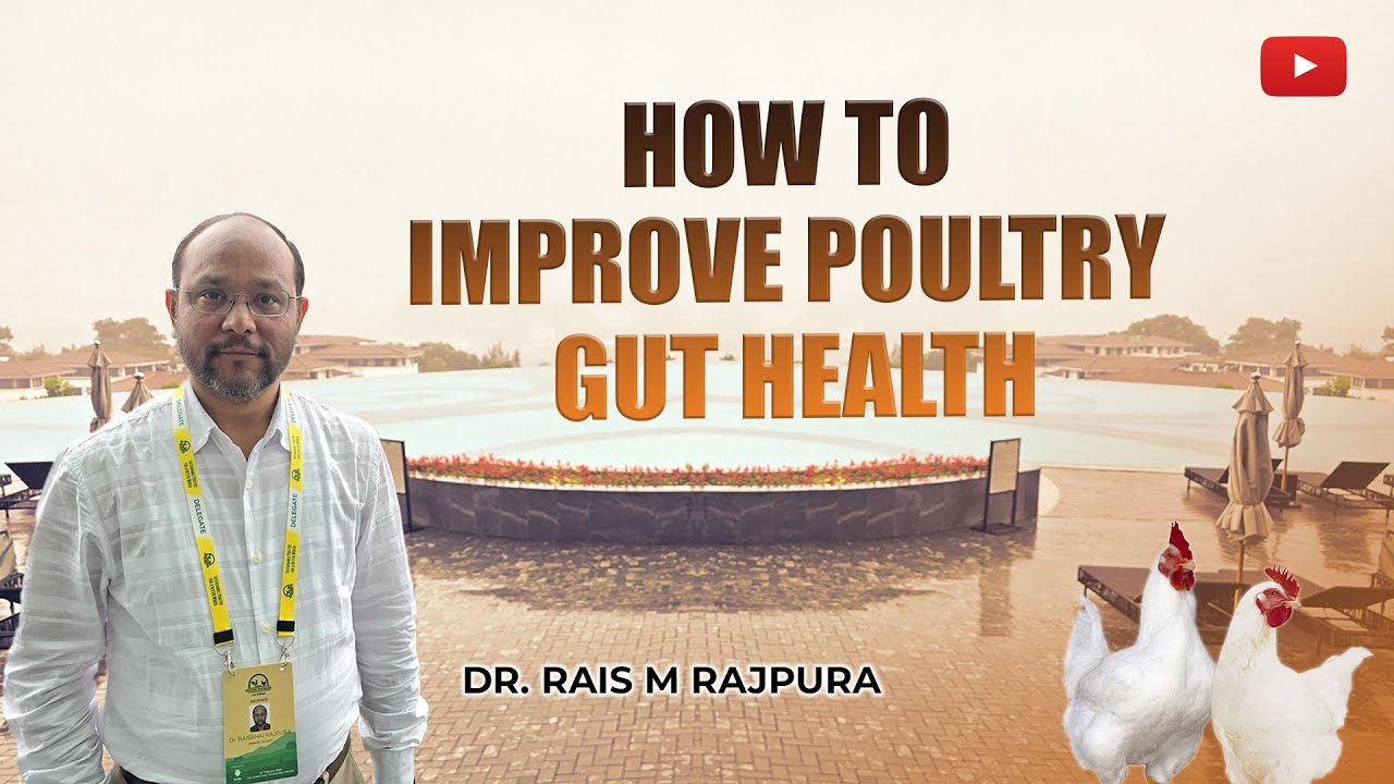 Exploring Gut Health and Management with Dr. Rais M Rajpura, Anand Agriculture University, Gujrat