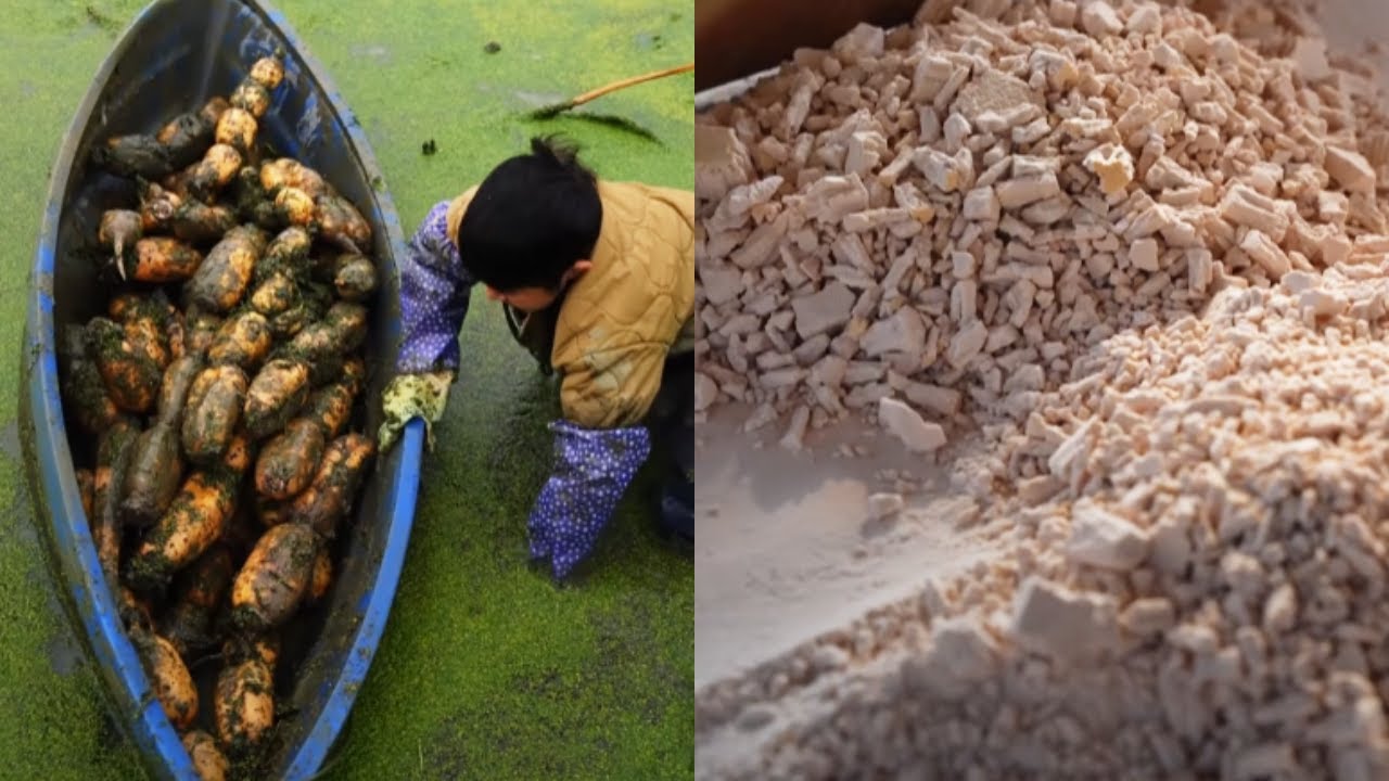 出淤泥而不染，碾成粉依然不改底色。琥珀色的糊，香气扑鼻且清甜