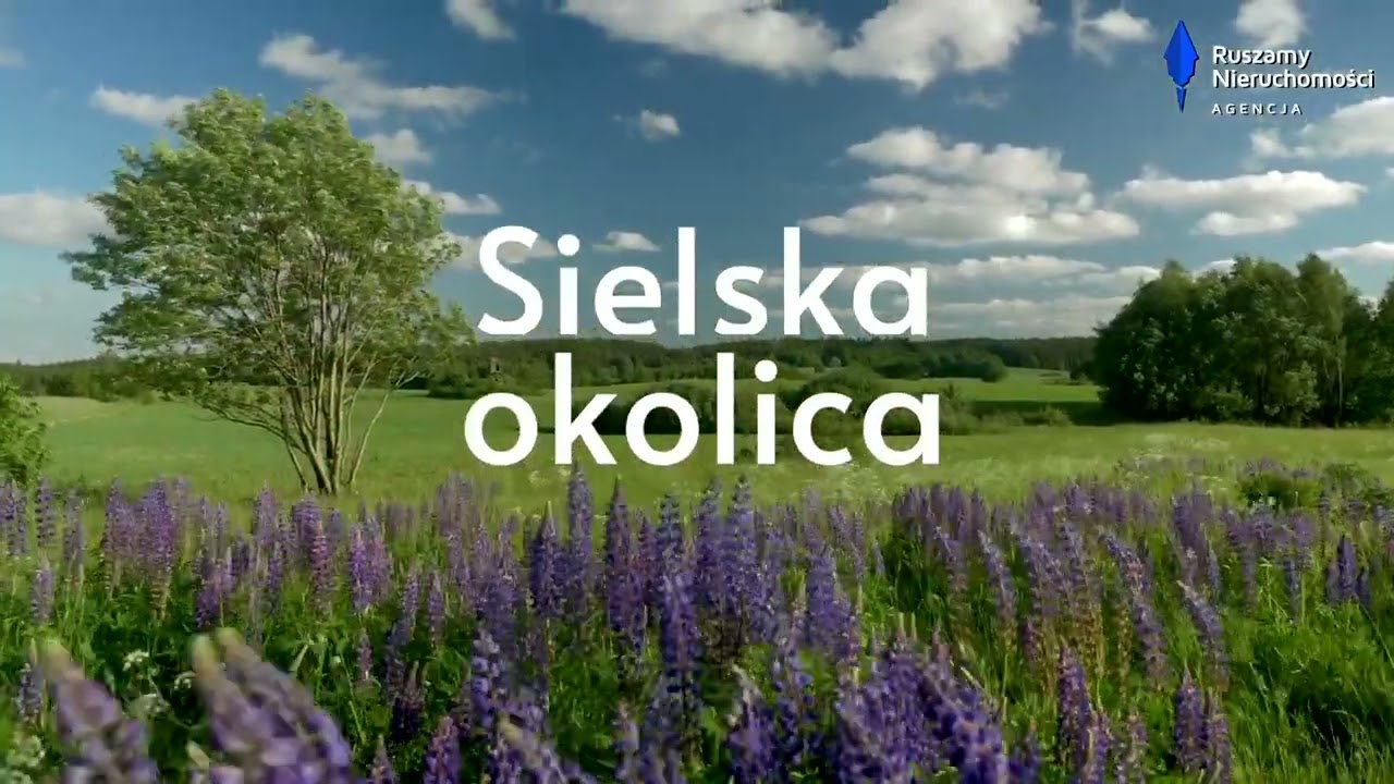 Działka Miłowo   działka   prezentacja V2