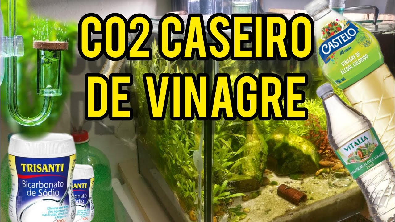🔴 O MELHOR CO2 CASEIRO DE VINAGRE (montagem do sistema)