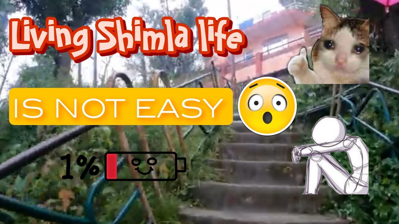 Shimla life is easy Reallyy | Shimla local life | Shimla life is easy | daily routine  shimla