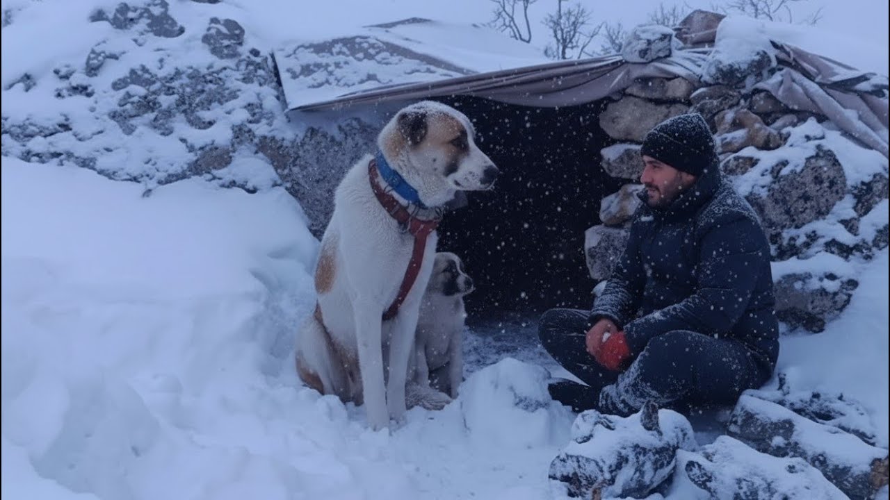 Alone in a Snowstorm | Man and His Dogs Build a Cave Shelter, Make Fire, and Survive Extreme Winter
